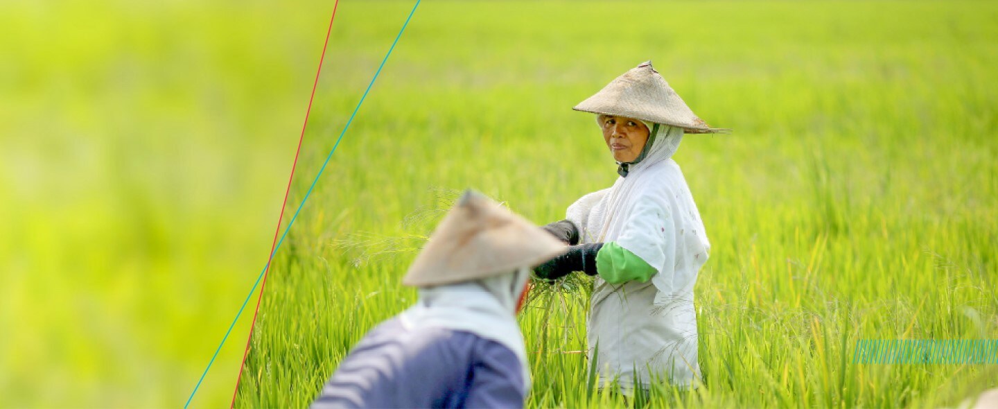 Better Life Farming Program - Bayer Indonesia